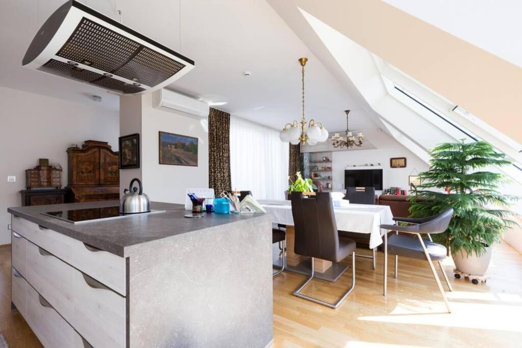 Апартаменти Grosses Penthouse #12 Mit Terrasse Und Aussicht Відень Екстер'єр фото