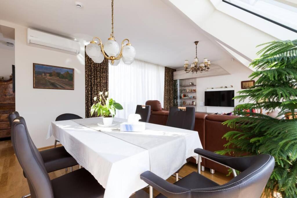 Апартаменти Grosses Penthouse #12 Mit Terrasse Und Aussicht Відень Екстер'єр фото